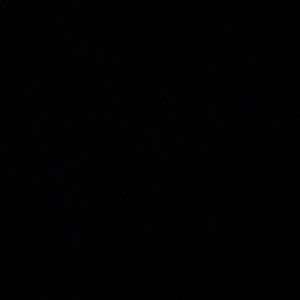 Meet your Posher, Claire